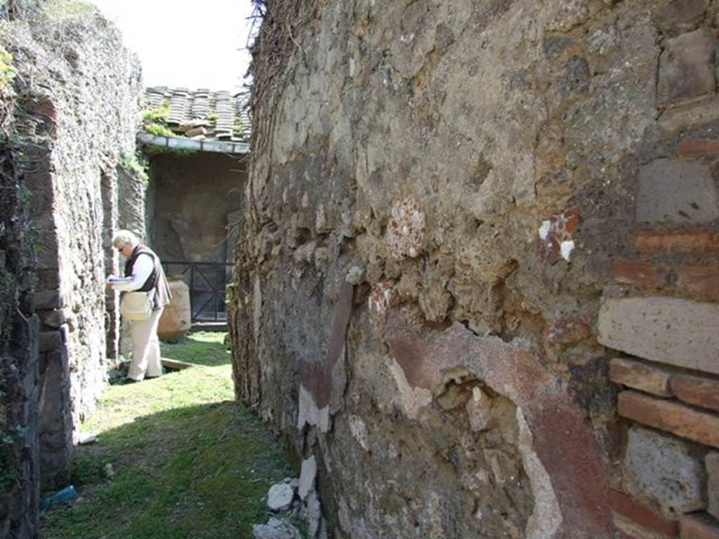 VII.4.56 Pompeii.  March 2009.   West wall of Corridor leading to rear.