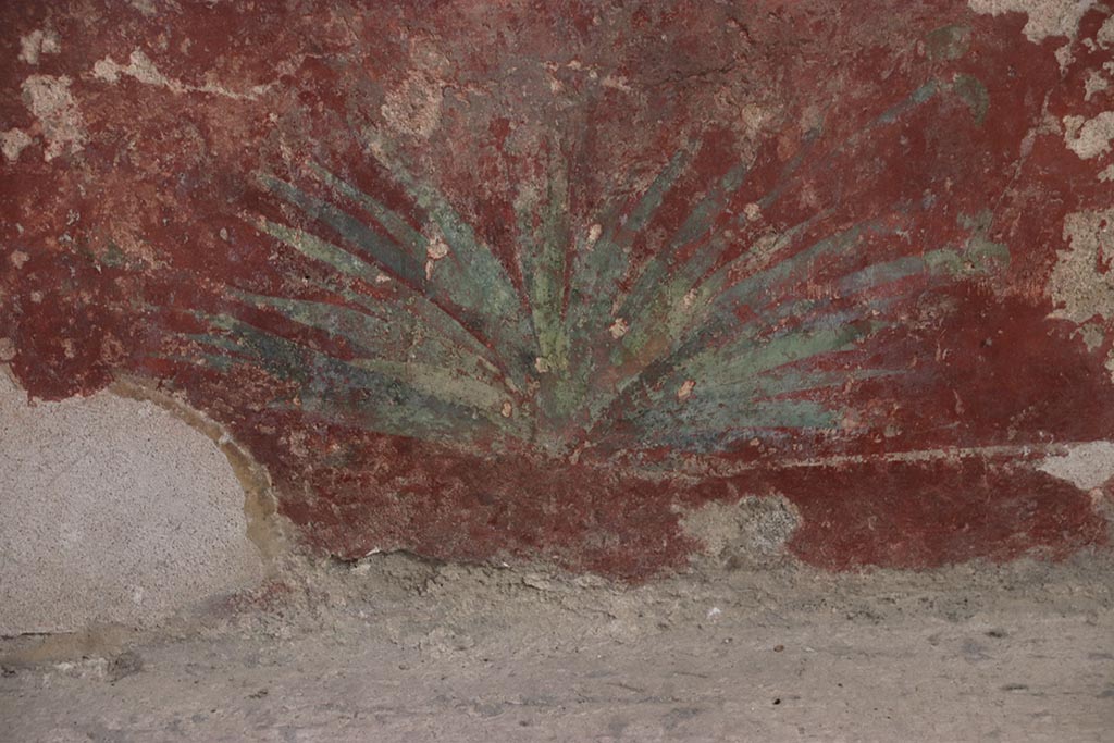 VII.5.8 Pompeii. October 2024. Tepidarium (49), detail of painted zoccolo from lower west wall. Photo courtesy of Klaus Heese.