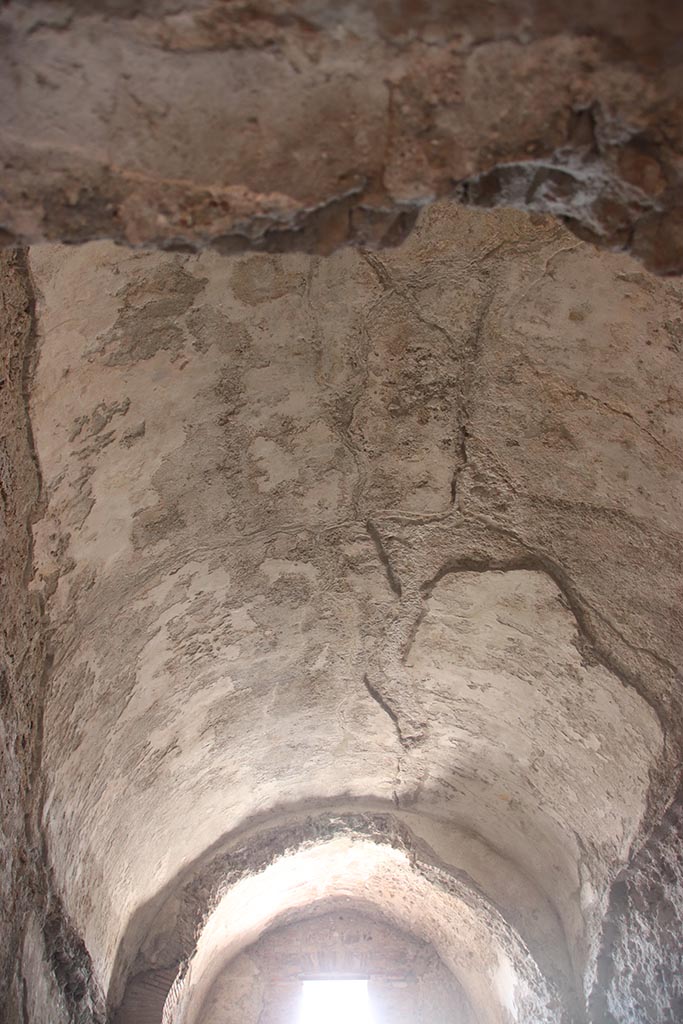 VII.5.8 Pompeii. October 2024. 
Caldarium (50), looking north along vaulted ceiling. Photo courtesy of Klaus Heese.
