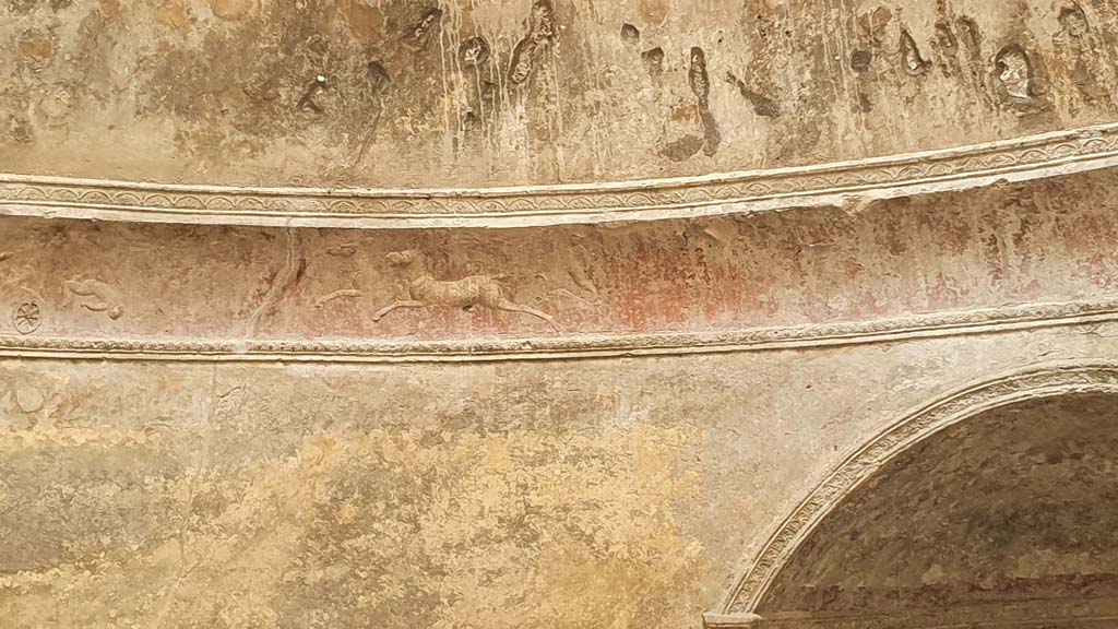 VII.5.24 Pompeii. April 2018. Detail of cupid on horse-back from stucco cornice on south side.  
Photo courtesy of Ian Lycett-King. Use is subject to Creative Commons Attribution-NonCommercial License v.4 International.

