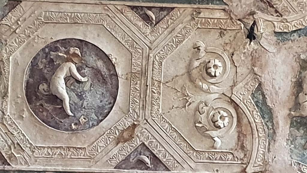 VII.5.24 Pompeii. August 2021. Detail from ceiling plaster stucco in south-east corner of tepidarium.
Foto Annette Haug, ERC Grant 681269 DÉCOR.

