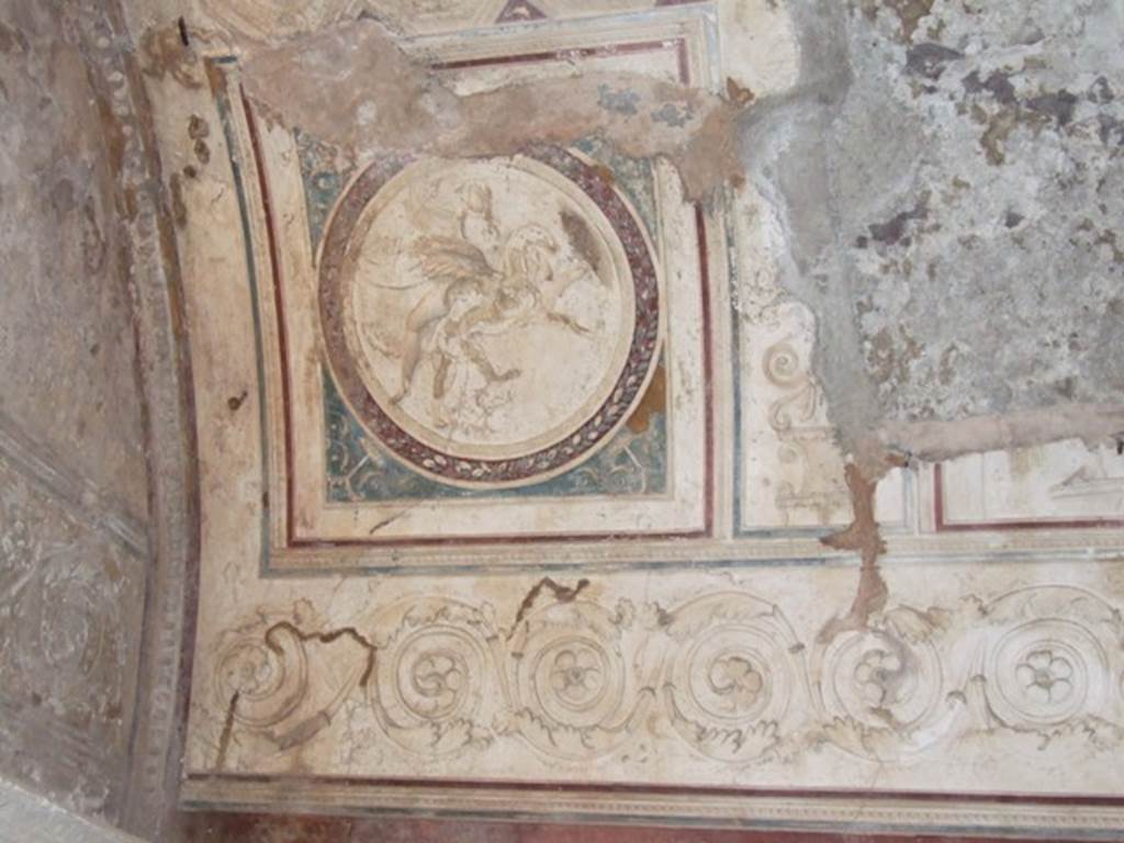 VII.5.24 Pompeii. May 2015. Detail from ceiling plaster stucco in south-west corner of tepidarium (37). Photo courtesy of Buzz Ferebee.
