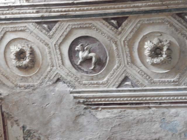 VII.5.24 Pompeii. May 2015. Detail from ceiling plaster stucco in south-west corner of tepidarium (37). Photo courtesy of Buzz Ferebee.
