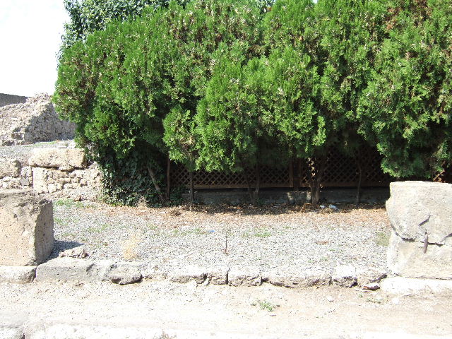 VII.6.25 Pompeii. May 2005. Looking north-west towards entrance, between the centre pilasters.