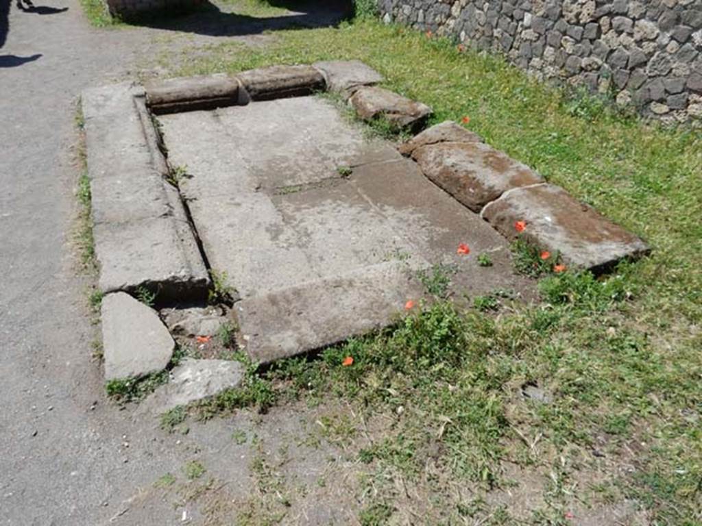 VII.7.2 Pompeii, May 2018. Detail of impluvium “g” in atrium, looking south. Photo courtesy of Buzz Ferebee.