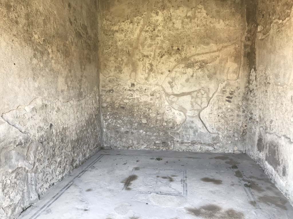 VII.7.2 Pompeii, April 2019. Looking south in room (n) and across mosaic flooring with central emblema. (photo enhanced)
Photo courtesy of Rick Bauer. 

