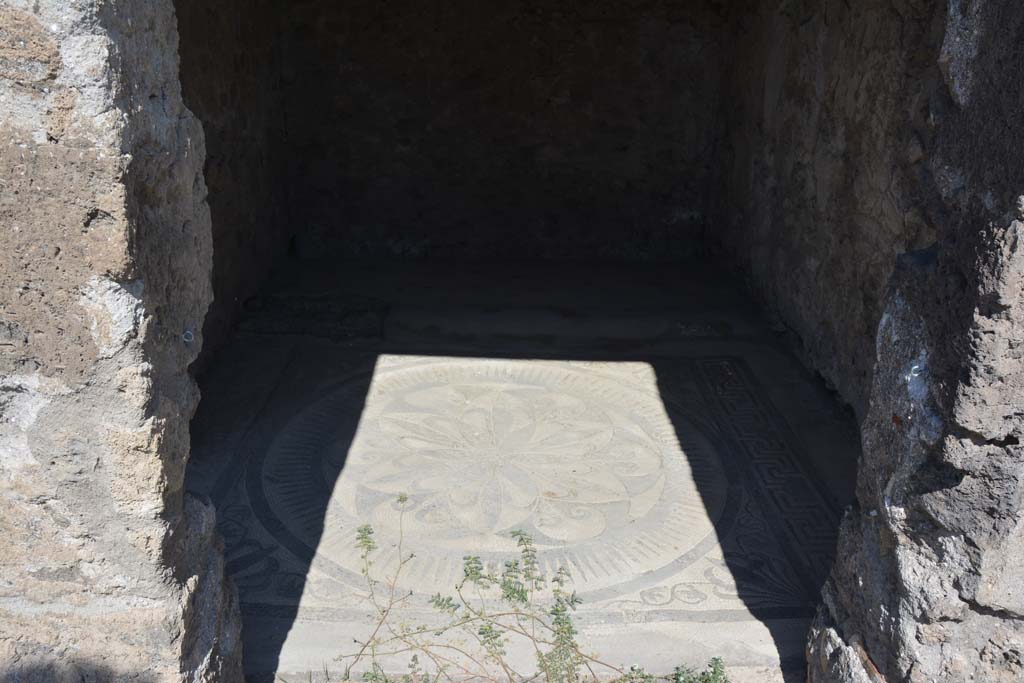 VII.7.5 Pompeii. September 2019. Mosaic floor in cubiculum (x).
Foto Annette Haug, ERC Grant 681269 DÉCOR.
