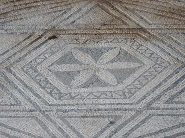 VII.7.5 Pompeii, May 2018. Room (n), detail of central emblema of flower with six petals set in geometric motif, in white and black mosaic floor.
Photo courtesy of Buzz Ferebee.

