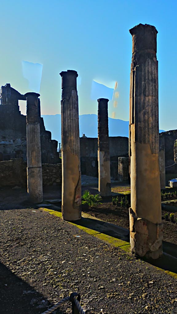 VII.7.5 Pompeii. December 2019. 
Looking south-west across peristyle/garden from east portico.
Photo courtesy of Giuseppe Ciaramella.
