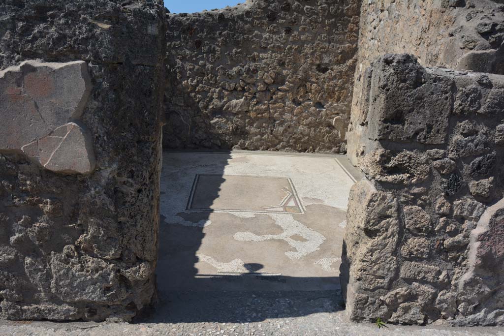 VII.7.5 Pompeii, May 2018. Detail from south side of impluvium. Photo courtesy of Buzz Ferebee.