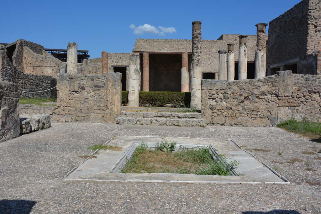 VII.7.5 Pompeii. September 2004. Looking north-west across atrium (b), towards steps to peristyle (l).
Taken from the gate of VII.7.4
According to Jashemski, this house attached to the preceding one, had a peristyle garden enclosed on four sides by a portico.
This was supported by twelve columns, red at the bottom, white and fluted above.
In the middle of the garden was a rectangular pool painted blue on the inside.
There was no tablinum in this house and the peristyle was reached by two steps from the atrium.
The exedra (u) on the north had a fine view across the garden.
See Jashemski, W. F., 1993. The Gardens of Pompeii, Volume II: Appendices. New York: Caratzas. (p.186 and fig.219, the peristyle garden)

