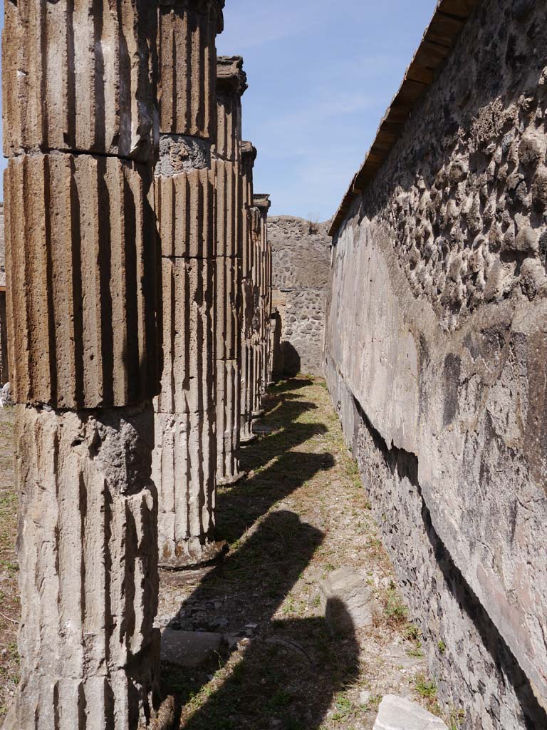 VII.8.01 Pompeii. September 2018. Looking north along east wall of cella towards north-east corner. 
Foto Anne Kleineberg, ERC Grant 681269 DÉCOR.
