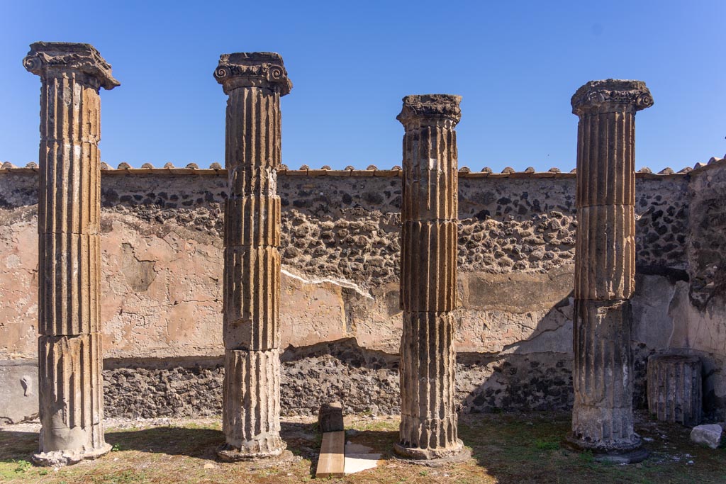 VII.8.1 Pompeii. October 2023. Columns near east wall at south end. Photo courtesy of Johannes Eber.