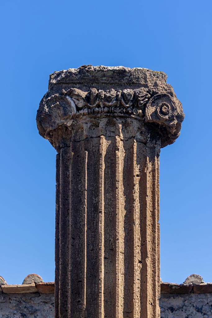VII.8.1 Pompeii. October 2023. Detail of column near east wall. Photo courtesy of Johannes Eber.