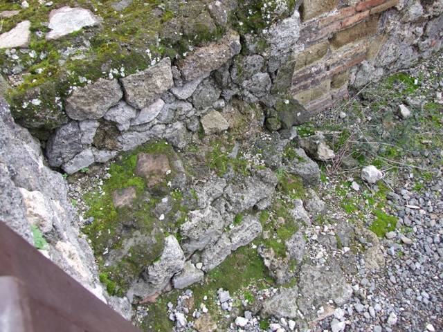 VII.9.29 Pompeii.  March 2009.  Looking through gap in south wall into rear room.