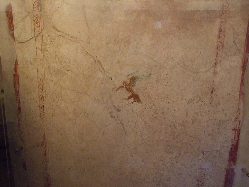 VII.12.18 Pompeii. July 2021. Painted wall plaster.
Foto Annette Haug, ERC Grant 681269 DÉCOR.

