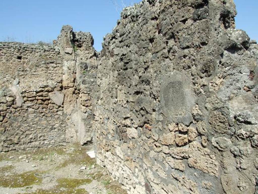 VII.14.9 Pompeii. March 2009. Room 4, east wall of Oecus, with doorway from tablinum.