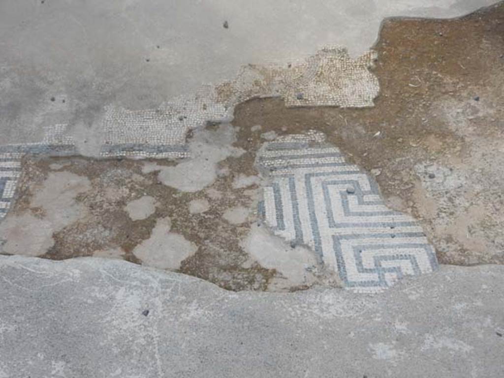 VII.15.2 Pompeii. May 2018. Detail of black and white mosaic in entrance corridor on west side ,looking south.
Photo courtesy of Buzz Ferebee. 

