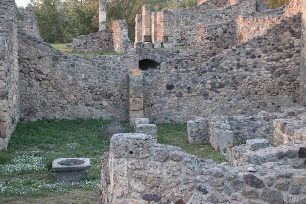 VII.16.1 Pompeii, lower level of photo. June 2019. Looking north to room 20, of VII.16.13, on south side of peristyle, on a slightly higher level.  Photo taken from VII.16.10. Photo courtesy of Buzz Ferebee.