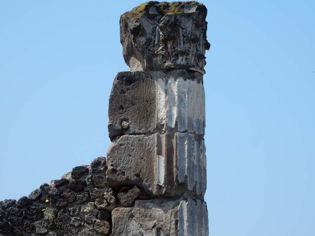 VII.16.13 Pompeii. June 2019. Capital on column at front of room 9, tablinum. Photo courtesy of Buzz Ferebee.