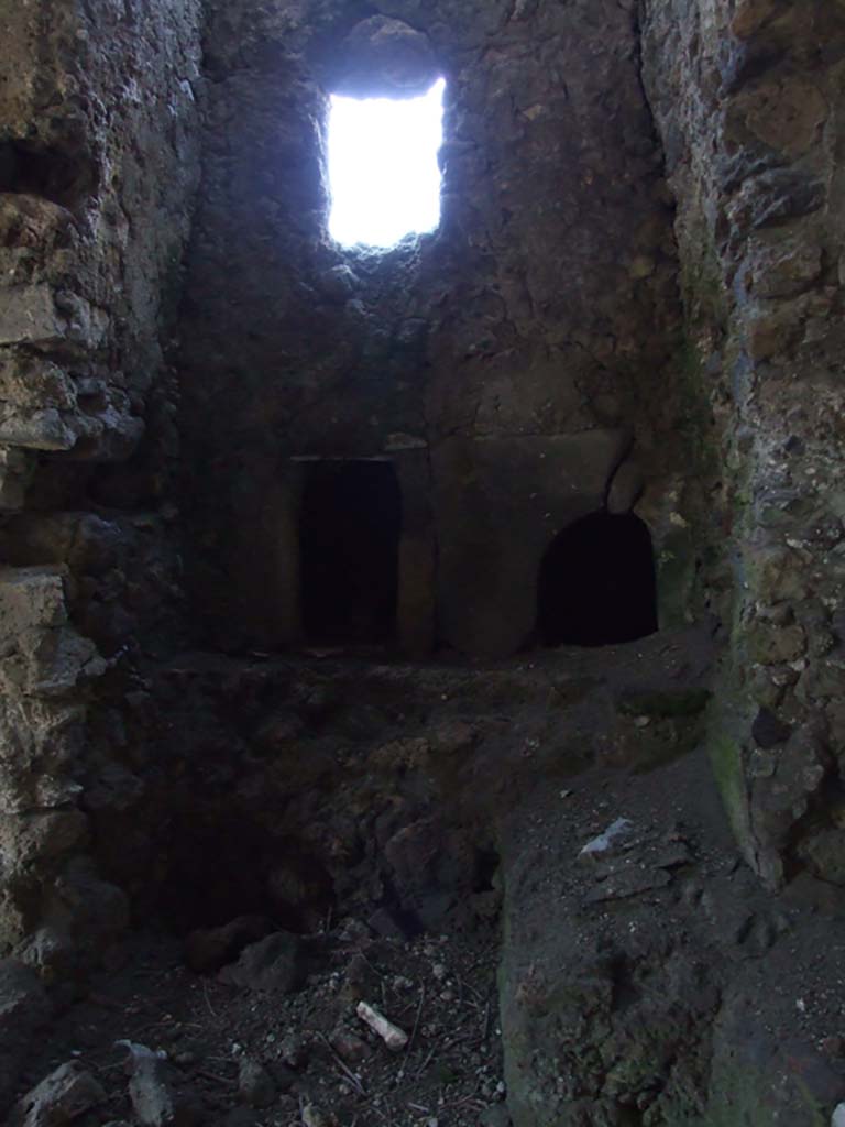 VII.16.13 Pompeii. March 2009. Room 48, looking north.