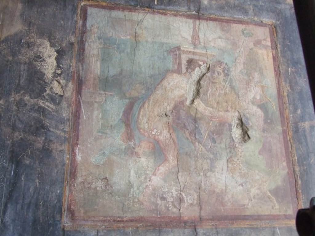 VII.16.17-22 Pompeii. December 2007. Wall painting of Dionysus and Ariadne from centre of south wall of oecus.
Kuivalainen describes –
“A composition of two main figures facing each other in a sacred area by the sea ……………..”
Kuivalainen comments –
“This scene is exceptional in many ways: for the couple’s and panther’s postures, and for the rich environment with a statue and vessels. A Bacchus of the half-naked type helps a confused Ariadne up, while Theseus’s ship is sailing away. The statue of Diana adorned with a crown has a bronze parallel in the sanctuary of Apollo in Pompeii. (Note 423 – see Van Andringa 2012, p.94-95.)
The horizontal line is very high.”
See Kuivalainen, I., 2021. The Portrayal of Pompeian Bacchus. Commentationes Humanarum Litterarum 140. Helsinki: Finnish Society of Sciences and Letters, p. 155-6, E19.
