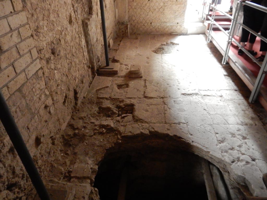 VII.16.a Pompeii. May 2015. Room 6, floor on north side of central walkway. Photo courtesy of Buzz Ferebee.
