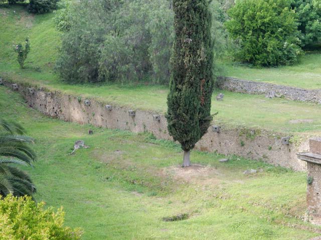 VII.16.a Pompeii. June 2019. Wall on north side of Baths. Photo courtesy of Buzz Ferebee.