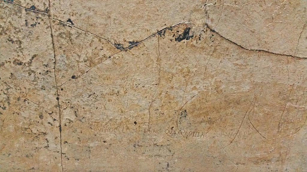 VIII.1.1 Pompeii. Scratched graffiti [CIL IV 1837] from Basilica. Photo courtesy of Giuseppe Ciaramella, June 2017. 
Now in Naples Archaeological Museum, part of inventory number 4700.
See Corpus Inscriptionum Latinarum Vol. IV, 1871. Berlin: Reimer, p. 117, Tav. XXIV no. 1.

