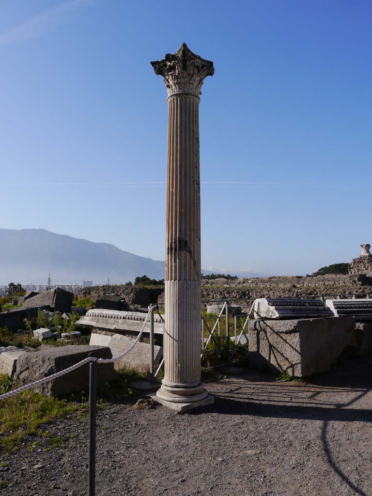 VIII.1.3 Pompeii. May 2024. Looking south across site of Temple. Photo courtesy of Klaus Heese.