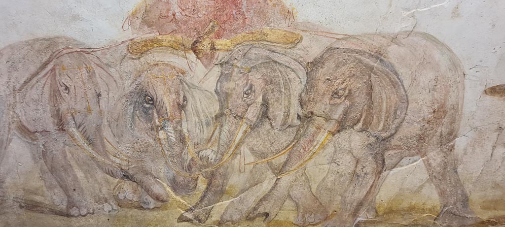 VIII.1.4 Pompeii. April 2022. 
Detail of elephants from fresco outside House of Verecundus, between doorways IX.7.7 and IX.7.6. Photo courtesy of Giuseppe Ciaramella.
