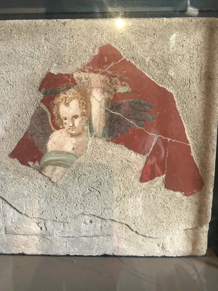 VIII.2.1 Pompeii. April 2019.
Fragment of fresco with cupid carrying a large object on the left shoulder, perhaps a cornucopia, found in the lower floors of the House of Championnet.
Pompeii Inventory number 14232. Photo courtesy of Rick Bauer.
