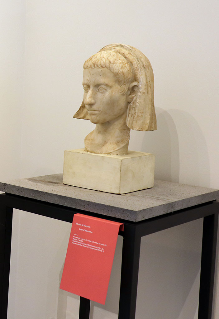 VIII.2.1 Pompeii. February 2021. 
Marble bust of Marcellus, found in the debris under the terrace of the House of Championnet, on display in Antiquarium at VIII.1.4.
Photo courtesy of Fabien Bièvre-Perrin (CC BY-NC-SA).
(Note: according to Maiuri, p.106 above, this was found in 1937 among the old debris of the Temple of Venus).

