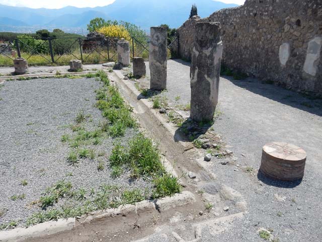 VIII.2.3 Pompeii. May 2018. Detail from south-east corner of peristyle garden. Photo courtesy of Buzz Ferebee.
