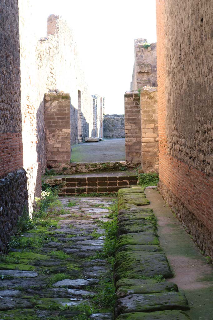 VIII.2.7 Pompeii. May 2010. Passageway to rear, looking south.
According to Liselotte Eschebach, the steps to an upper floor were on the left. See Eschebach, L., 1993. Gebäudeverzeichnis und Stadtplan der antiken Stadt Pompeji. Köln: Böhlau.(p.355)
