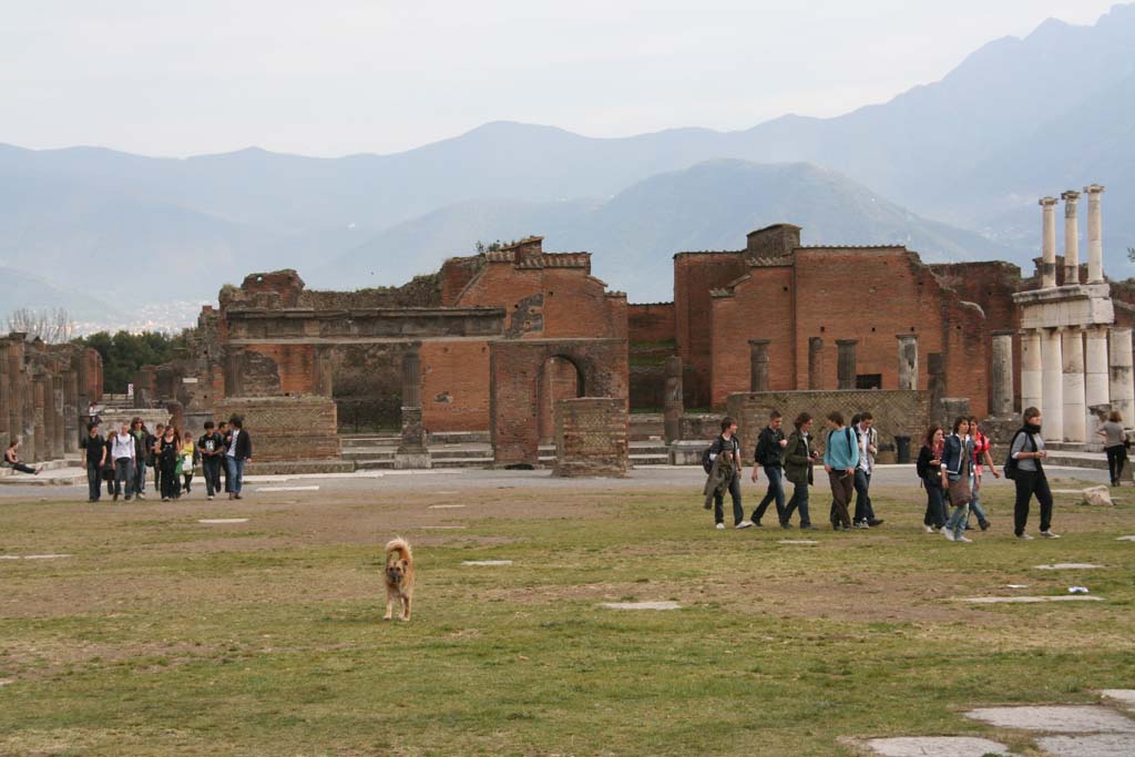 VIII.2.10 Pompeii. April 2010. Looking towards south end of Forum, with entrance doorway (centre left) behind portico column.
Photo courtesy of Klaus Heese.
