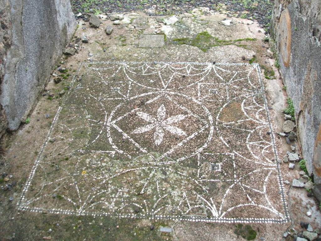 VIII.2.13 Pompeii. October 2020. Detail of six-petalled rosette in centre of mosaic. Photo courtesy of Klaus Heese.