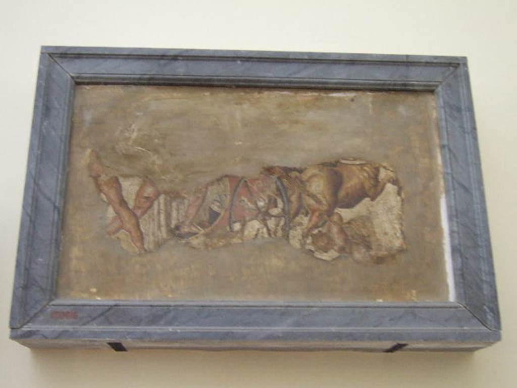 VIII.2.14/16 Pompeii. Remains of mosaic of the Rape of the Leucippides (the daughters of Leucippus), on a slab of tufa.
Now in Naples Archaeological Museum. Inventory number 120619.
Found in a room at the rear of VII.2.14, according to Rom. Mitt, vii, 1892, p.12.
This room was at the rear of the triclinium with the shallow basin in VIII.2.16.
It would have been in the south-east corner of the northern peristyle, opposite the rectangular pool, also accessed from a corridor in VIII.2.14. 
