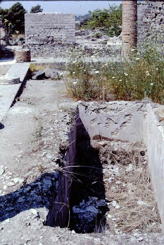 VIII.2.14 Pompeii. 1968. Looking west across south side of peristyle, and across the rectangular pool.  Photo by Stanley A. Jashemski.
Source: The Wilhelmina and Stanley A. Jashemski archive in the University of Maryland Library, Special Collections (See collection page) and made available under the Creative Commons Attribution-Non Commercial License v.4. See Licence and use details.
J68f1185
