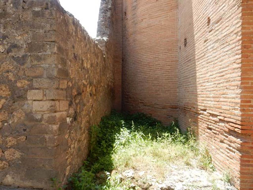 VIII.2.6/7/14 Pompeii. May 2018. Looking west along small area at rear of VIII.2.6. Photo courtesy of Buzz Ferebee.