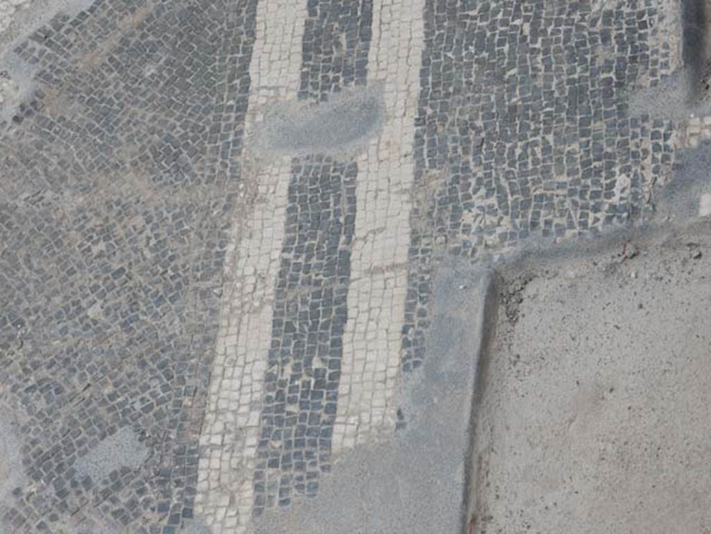 VIII.2.14 Pompeii. May 2017. Detail of flooring. Photo courtesy of Buzz Ferebee.