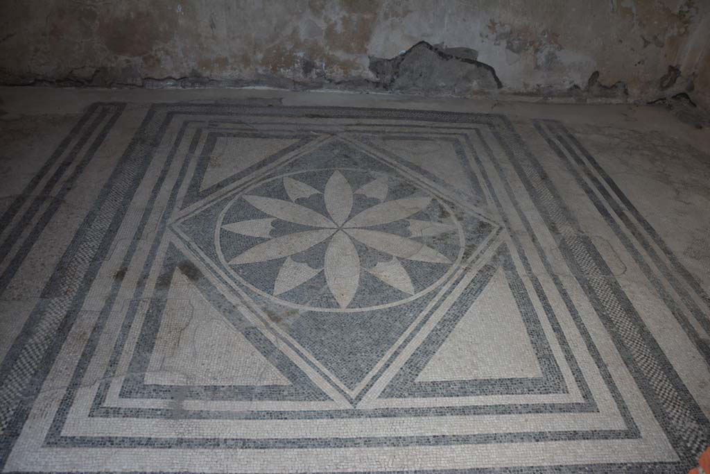 VIII.2.16 Pompeii. November 2017. Looking north across mosaic floor.
Foto Annette Haug, ERC Grant 681269 DÉCOR.

