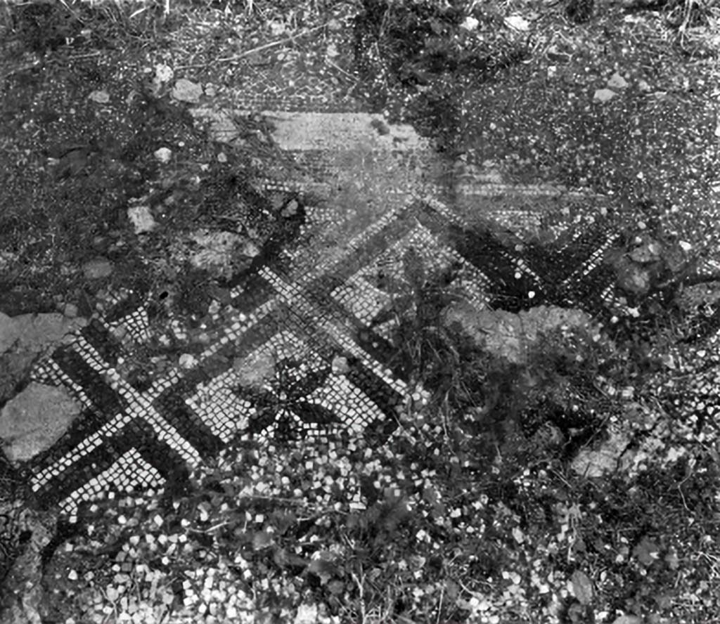 VIII.2.21 Pompeii. c.1930. 
Mosaic flooring in triclinium of a pattern of white squares with black edges, each containing a rosette with 6 petals in its centre.
Mosaic flooring showing partly the effects of weed roots penetrating the gaps between the tesserae, and partly of frost.
See Blake, M., (1930). The pavements of the Roman Buildings of the Republic and Early Empire. Rome, MAAR, 8, (p.12, ftn.7, & Pl.1, tav.3).
