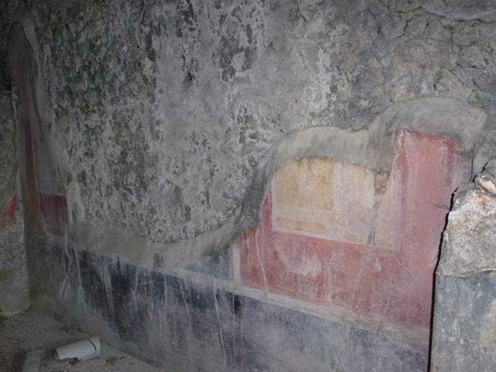 VIII.2.26 Pompeii. September 2011. Painted east wall decoration. Photo courtesy of Michael Binns.
