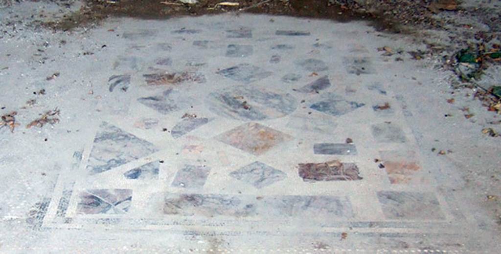 VIII.2.26 Pompeii. September 2005. Marble panel in the centre of the floor of the triclinium. Marble pieces are set in a white mosaic base, surrounded by a border of black and white bands. Many different colours and types of marble make up the pattern.