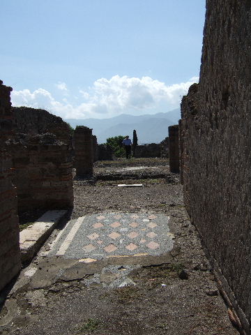 VIII.2.29 Pompeii. October 2020. Detail of mosaic in entrance corridor. Photo courtesy of Klaus Heese.