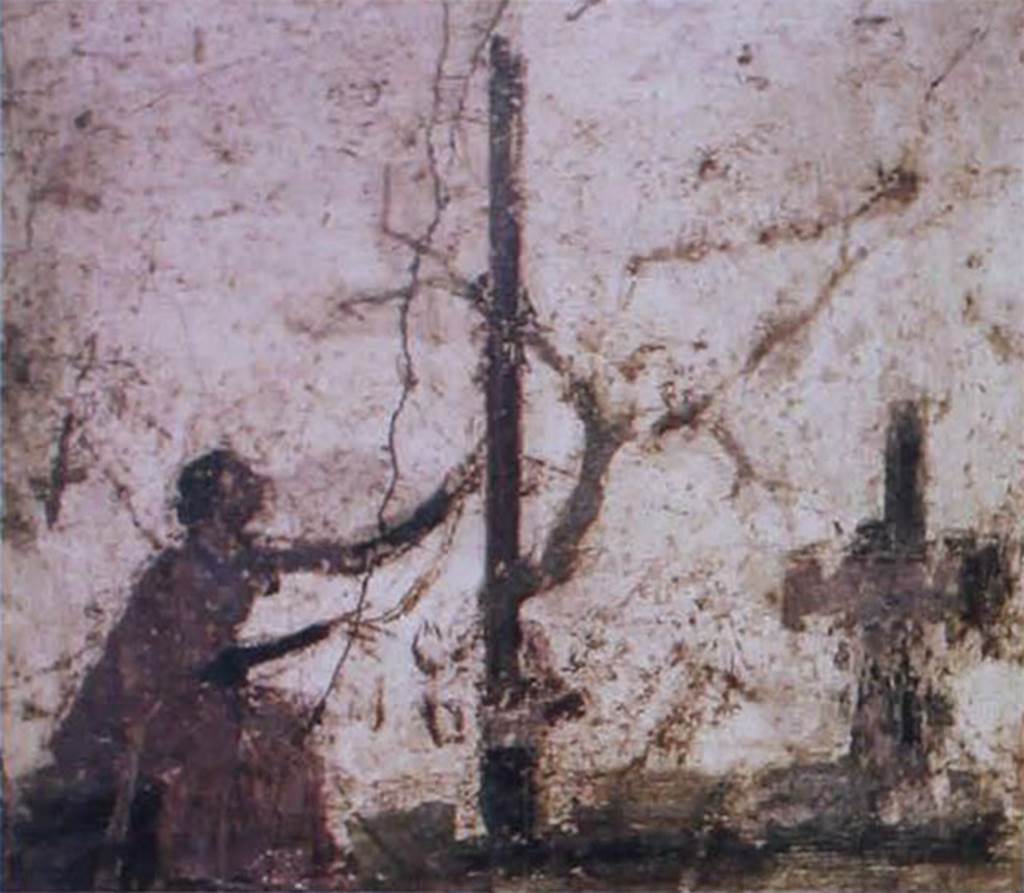 VIII.2.39 Pompeii. Room l on first lower floor. Painted panel from a cubiculum decorated in the Third style.
A female figure dressed in green and violet is seated near a tree grown near a column.
She is tying bandages around the latter and has at the side a table on which ritual objects rest.
Now in Naples Archaeological Museum. Inventory number 9858.
See Carratelli, G. P., 1990-2003. Pompei: Pitture e Mosaici. Vol. VIII. Roma: Istituto della enciclopedia italiana, p. 344-5. 
