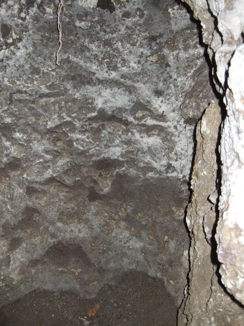 VIII.2.39 Pompeii. May 2006. Room 03.