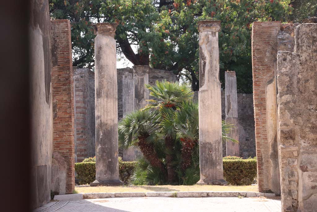 VIII.3.8 Pompeii. September 2019. Looking south through tablinum into the peristyle.  
Photo courtesy of Klaus Heese.
