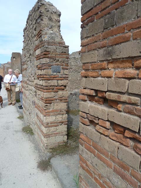 VIII.4.49 Pompeii. December 2007. East wall.